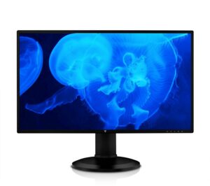 V7 L27HAS2K-2E 69 cm (27") TFT-Monitor mit LED-Technik schwarz / F
