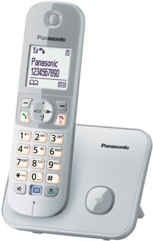 Panasonic KX-TG6811GS Schnurlostelefon perlsilber