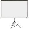 Acer T82-W01MW Projektionsleinwand