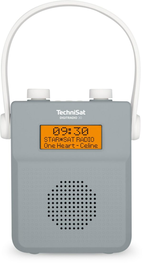 Technisat DigitRadio 30 Duschradio grau