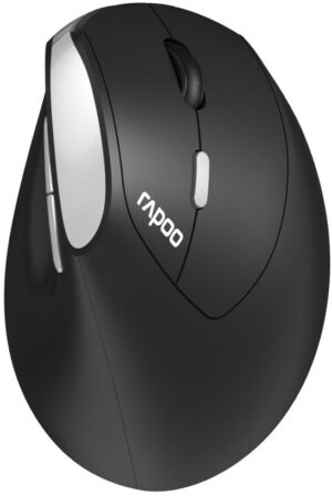 Rapoo EV250 Kabellose Maus schwarz