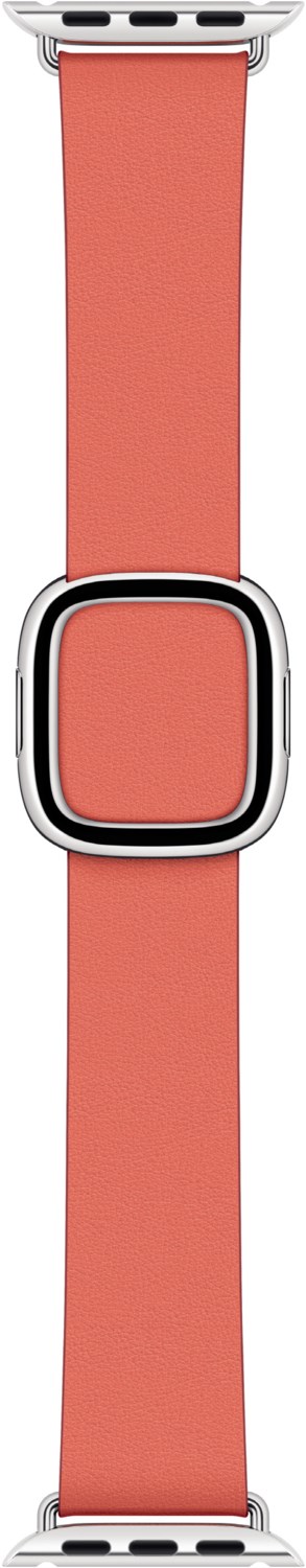 Apple Modernes Lederarmband M (40mm) zitruspink